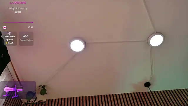 Hiddenhotcake 网络视讯表演