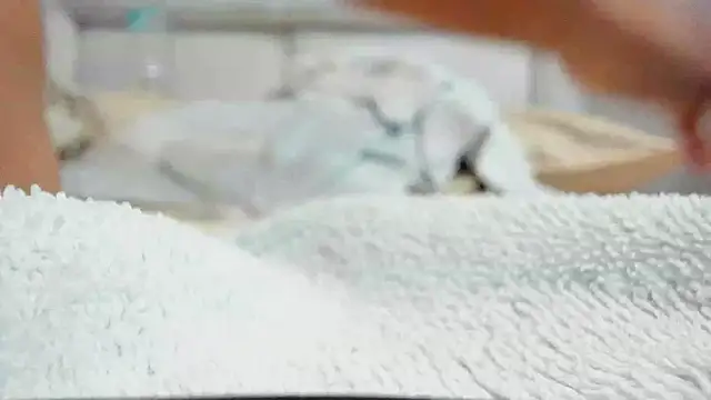 Živý XXX chat zara_lopez