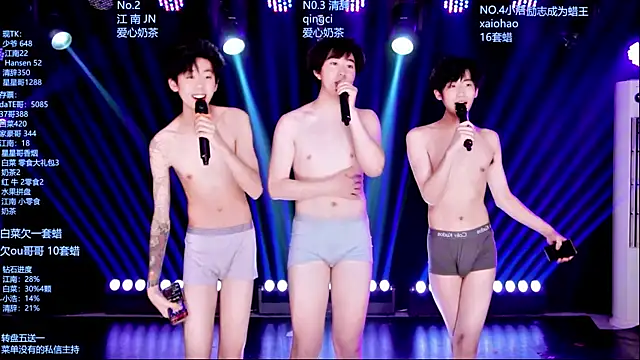 AOA-MIC Show Webcam