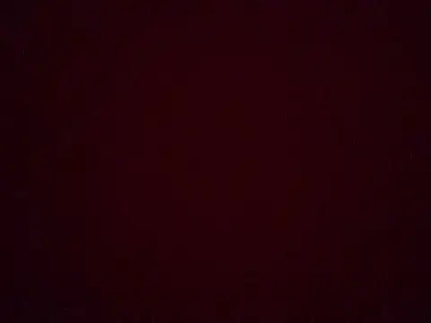 Show webcam de omonaka