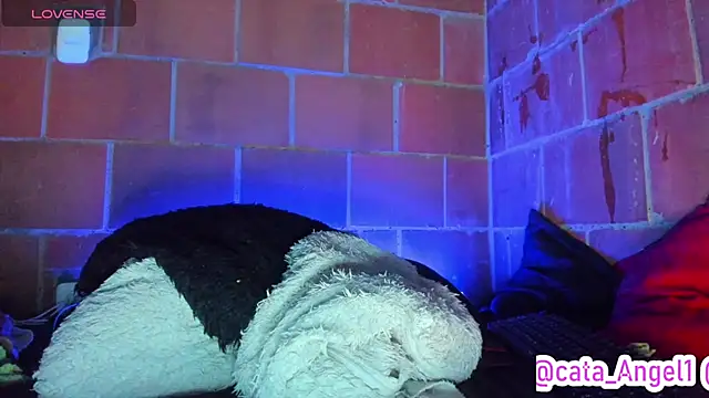 Chat +18 de Cata-angel ao vivo
