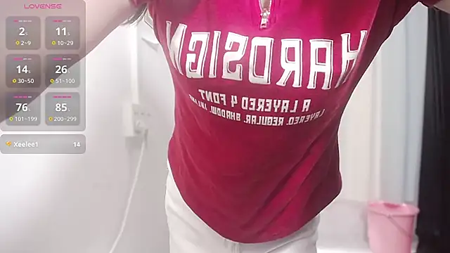 Arcyar Show Webcam