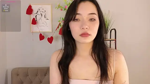 Noiry_Vuvezn Webbikameraesitys