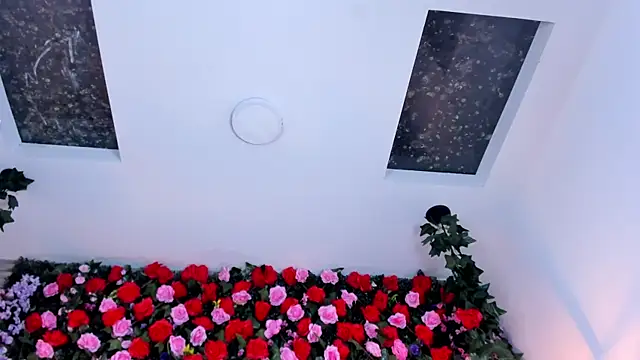 ViolettGracee Chat XXX live