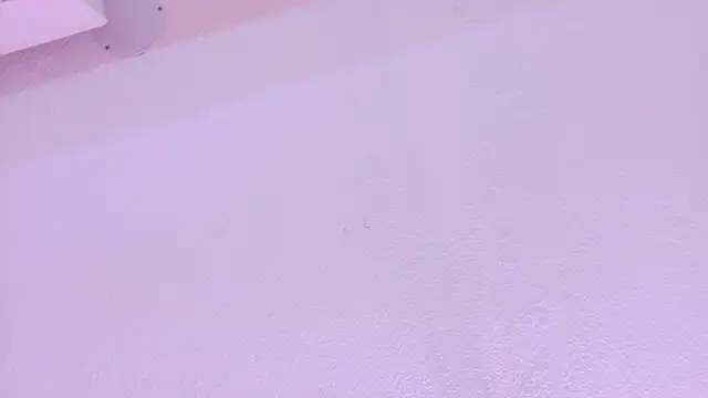 AndreaSweet2 라이브 XXX 채팅