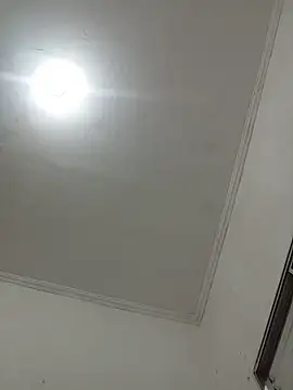 NovinhoSafado18 webcam show