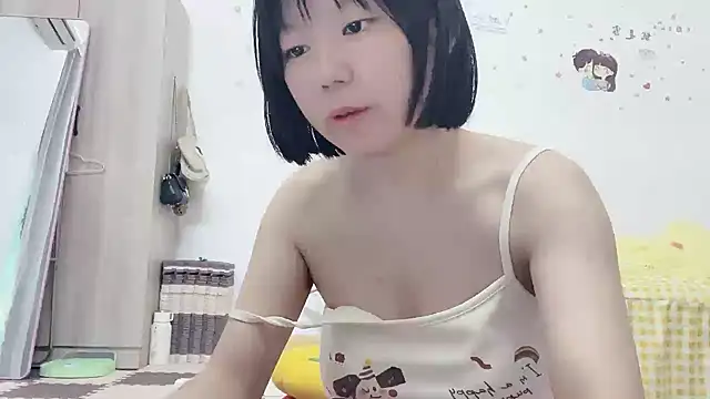 Belle-LL 网络视讯表演