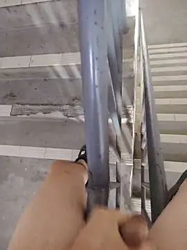 Wvpppp 在線直播表演