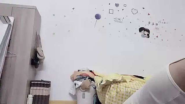 Belle-LL 网络视讯表演