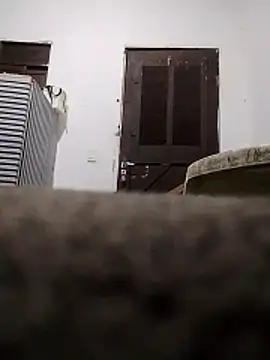 polyanasafa Pertunjukan Webcam