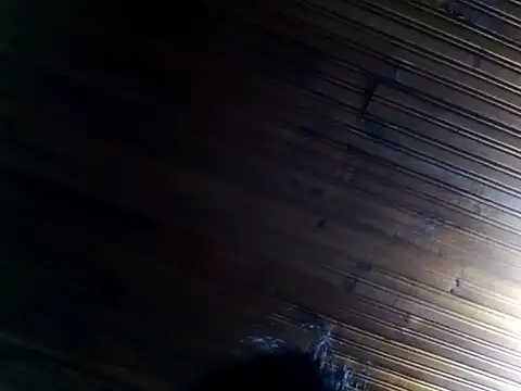 dulcefox's Live XXX Chat