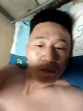 wadmma 网络视讯表演