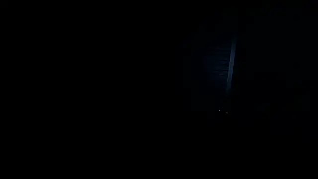 VincentSavage 网络视讯表演