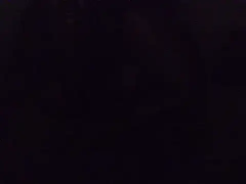 berrynova Show Webcam