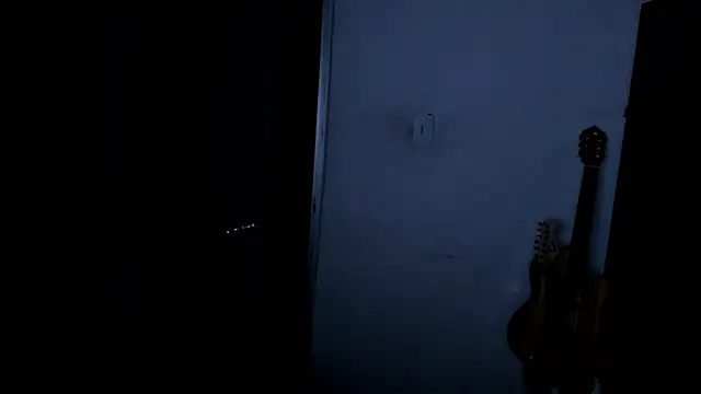 VincentSavage 现场XXX聊天