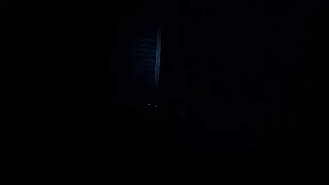 XXX chat uživo modela VincentSavage