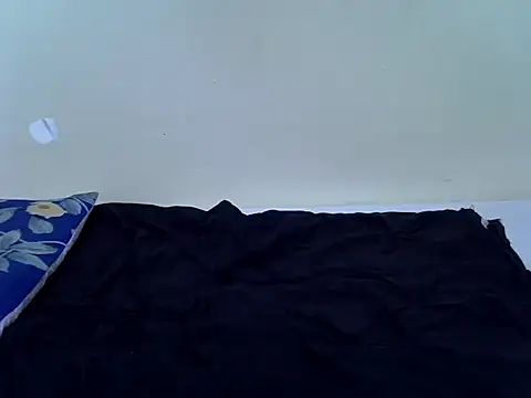 pointie_bloomyのウェブカメラショー