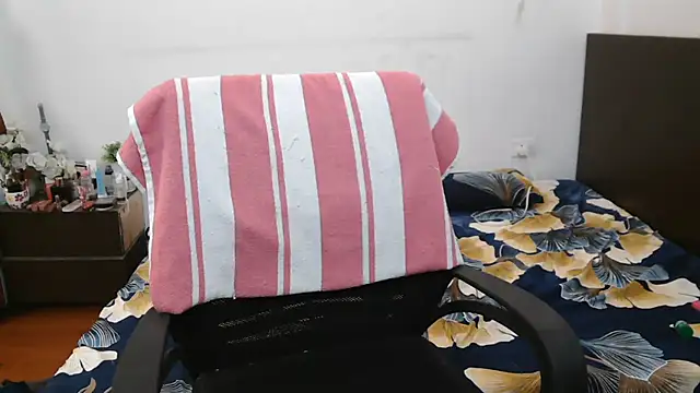 SkyShallyのウェブカメラショー