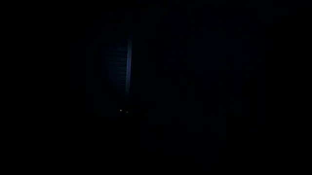 VincentSavagen Live XXX chat