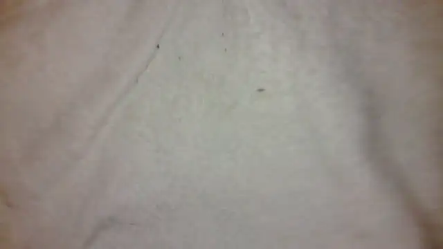 _BouncyBoner_ Webcam-Show