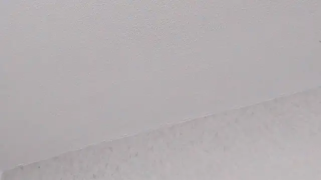 Tyler_durten 现场XXX聊天
