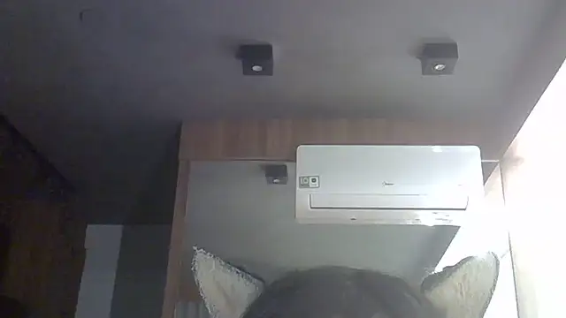 SkinnyKitten Webcam show