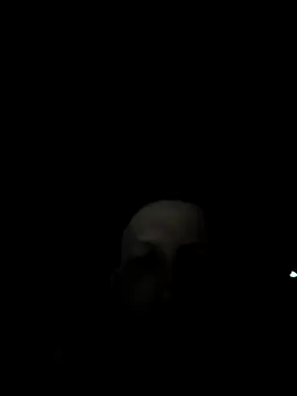 J-Dubb's Live XXX Chat