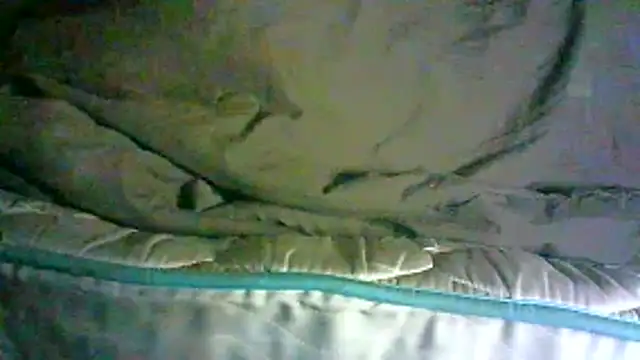 Chat XXX Live _P3RKY_IMMORTAL3_FIR3_