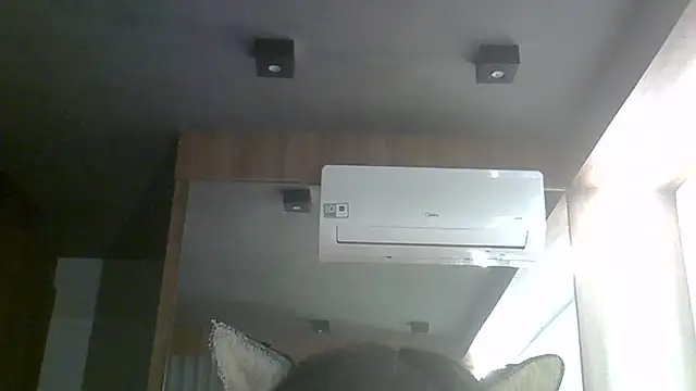SkinnyKitten Webcam-Show