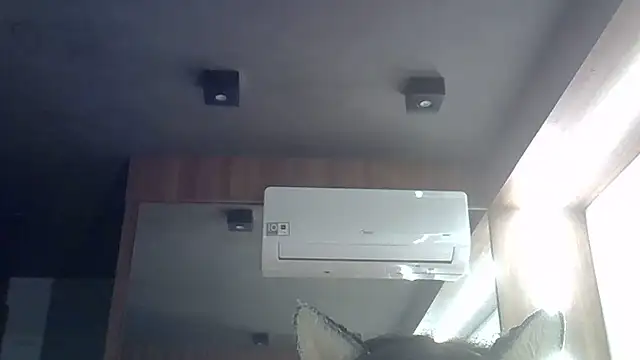 Chat +18 de SkinnyKitten ao vivo