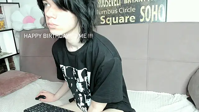 Show webcam de softcollision