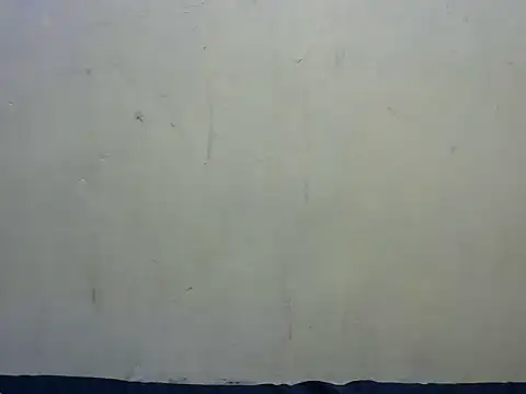 Show webcam de Laree_booby
