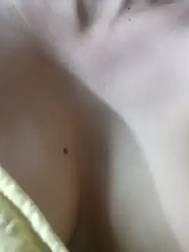 PUNAM456 라이브 XXX 채팅