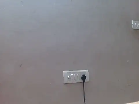 zaanbi live XXX chat