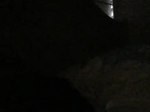agathaa69 XXX чат на живо