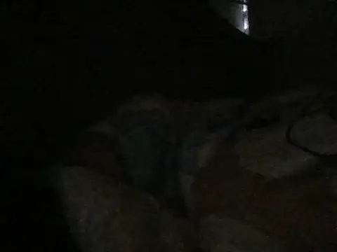agathaa69 Live XXX-chat