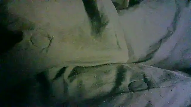 دردشة _P3RKY_IMMORTAL3_FIR3_ الجنسية المباشرة