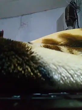 cobrosdepagos' Live XXX Chat
