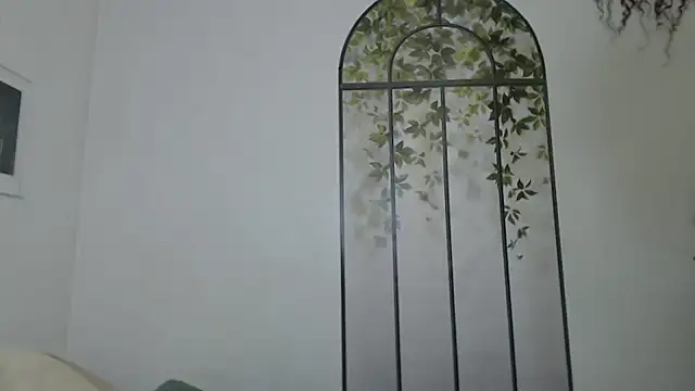 wildy1 Webcamshow
