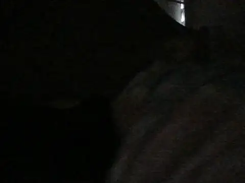 Онлайн чат XXX agathaa69