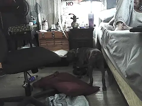 Tommy_Love23 élő XXX-chatje
