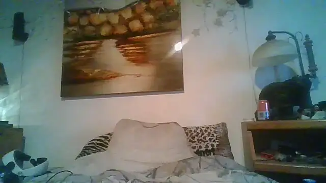 Show de webcam de theboobietrap