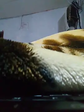 Sembang XXX Secara Langsung cobrosdepagos