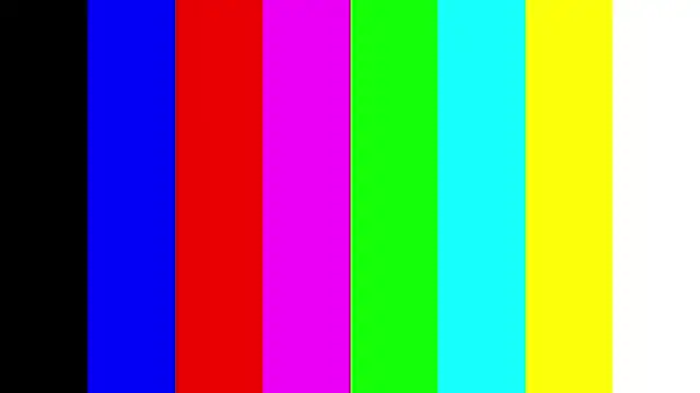 BertaForth Live XXX-chat