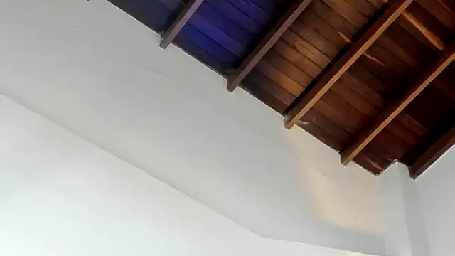 TonyPetrovjs XXX чат на живо