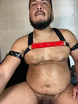 the_master_foal_ Webcam Show