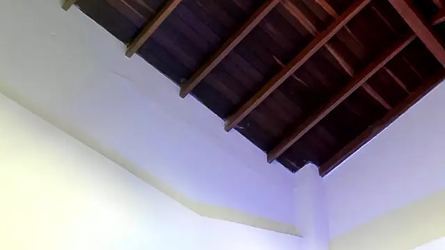 TonyPetrovjs Chat XXX live