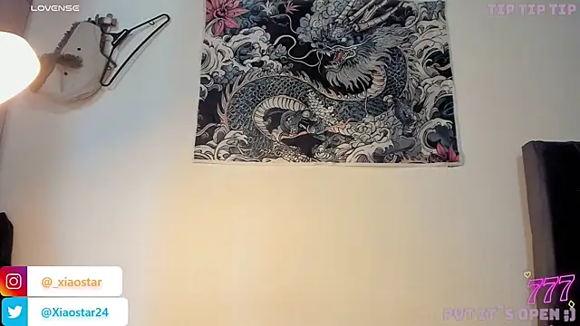 XiaoStarのウェブカメラショー