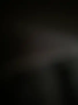 Furdaleのウェブカメラショー