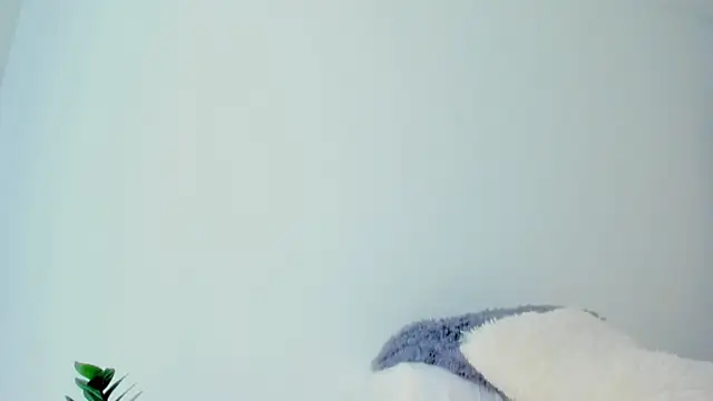 andyylove_jk লাইভ XXX চ্যাট